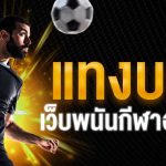 เว็บแทงบอลครบวงจร