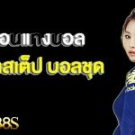 แทงบอลDATABET88