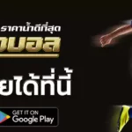 เว็บแทงบอลออนไลน์ดีที่สุด